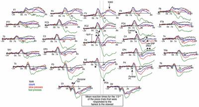 A Central Component of the N1 Event-Related Brain Potential Could Index the Early and Automatic Inhibition of the Actions Systematically Activated by Objects